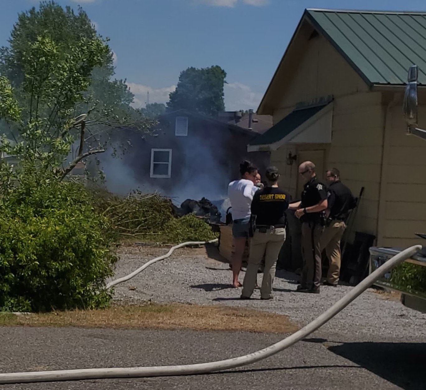 Tree catches fire